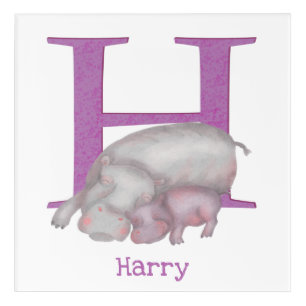 Animal ABC H is for hippo acrylic print