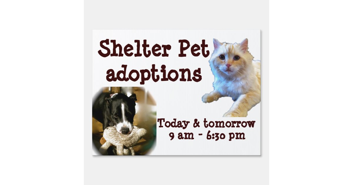 Animal Adoption Shelter Pet Sign | Zazzle