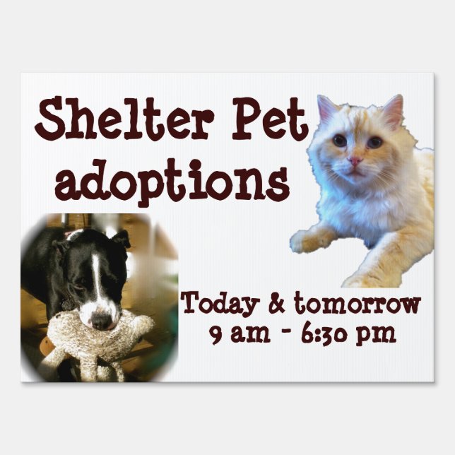 Animal Adoption Shelter Pet Sign (Front)