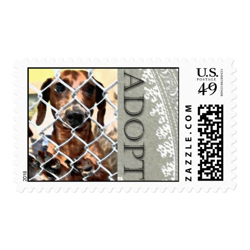 Animal Adoption Stamp | Zazzle