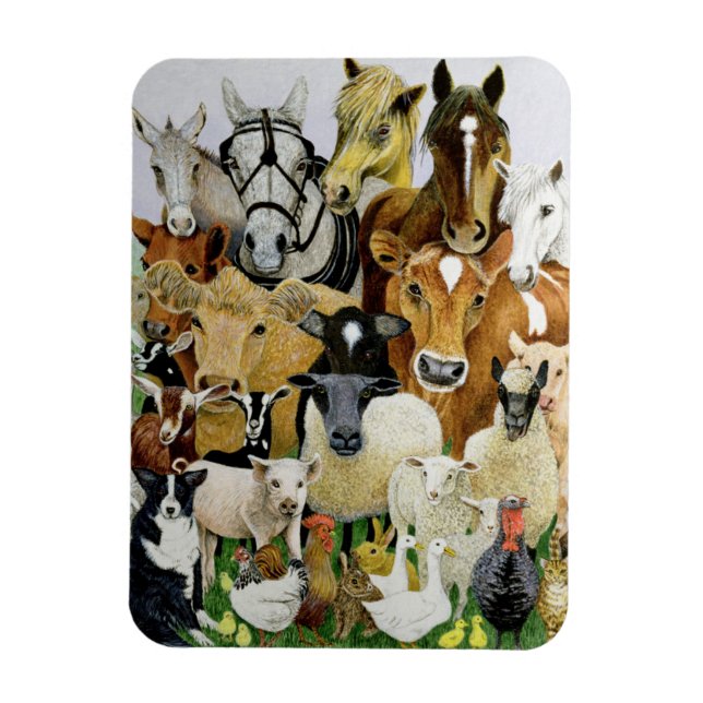 Animal Allsorts Magnet (Vertical)