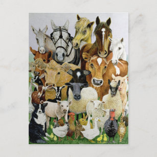 Animal Allsorts Postcard