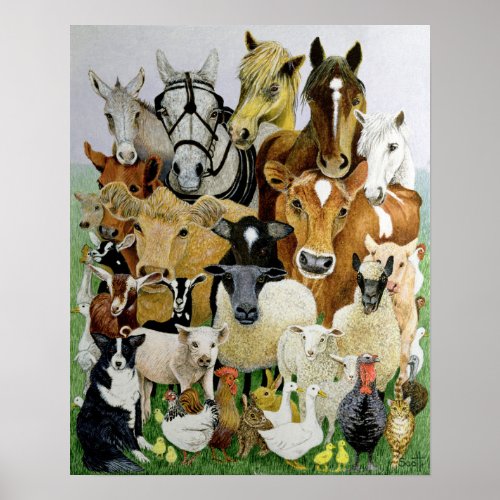 Animal Allsorts Poster