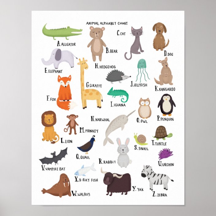 Animal Alphabet Chart A-Z art print | Zazzle.com