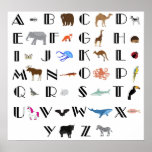 Animal Alphabet Poster. Poster at Zazzle