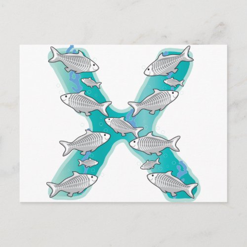 Animal Alphabet X_Ray Fish Postcard