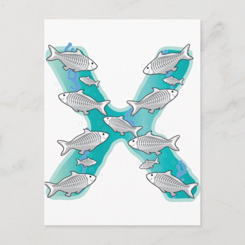Animal Alphabet X_Ray Fish Postcard