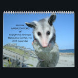 Animal Ambassadors 2011 Wall Calendar<br><div class="desc">The Animal Ambassadors of Everything Animals Resource Center,  Inc. 2011 Calendar is feast for the eyes - and an animal-lovers delight. The Animal Ambassadors include mammals,  birds,  amphibians,  reptiles,  and arachnids! Proceeds benefit this nonprofit,  funding the Ambassadors' needs.</div>