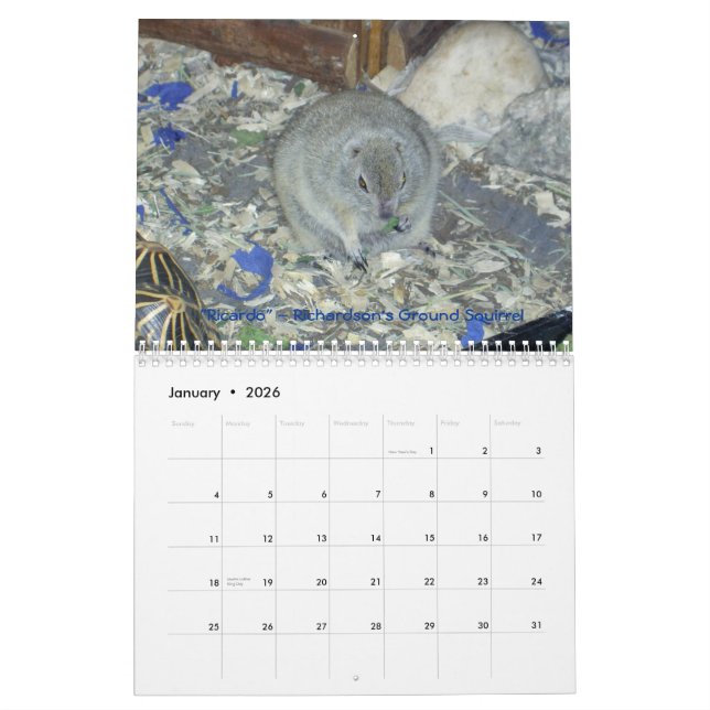 Animal Ambassadors 2011 Wall Calendar (Jan 2026)