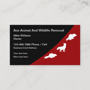 Animal And Wildlife Removal Business Cards
