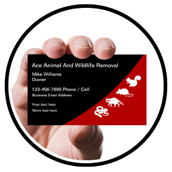 Animal And Wildlife Removal Services Business Card by Luckyturtle at Zazzle