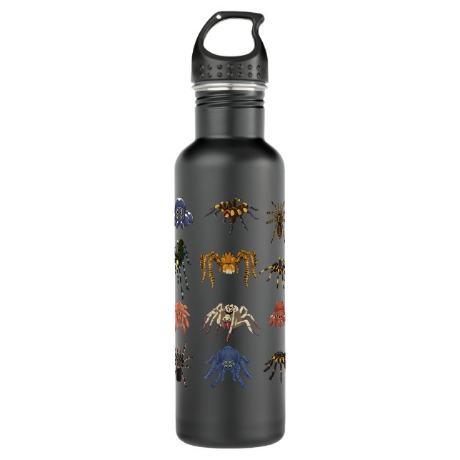 Animal Arachnid Tarantula Arthropod Halloween Gift Stainless Steel Water Bottle (Front)