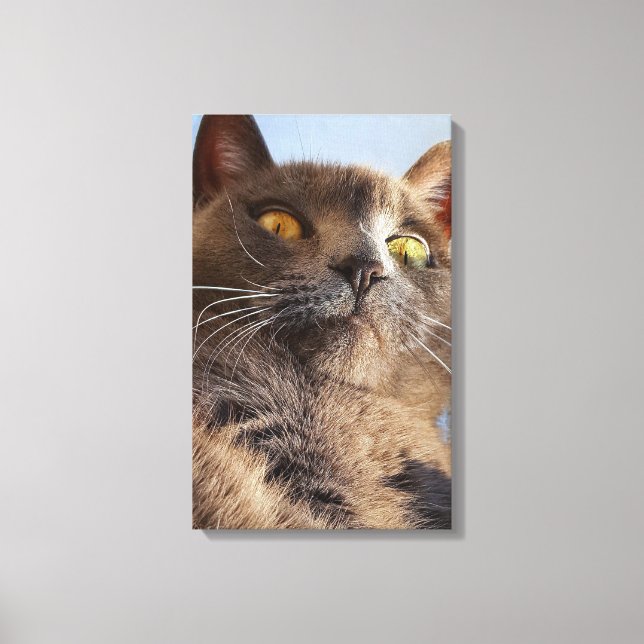 Animal Art Canvas Print (Front)