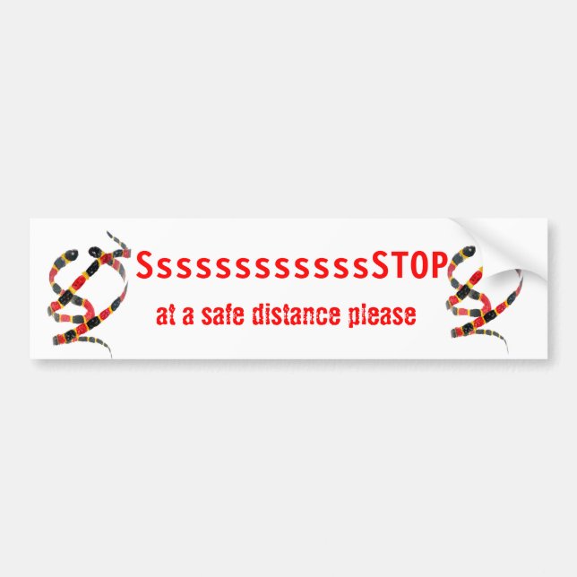 Animal Art Coral Snakes Bumper Sticker (Front)