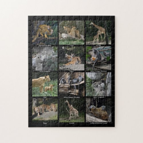 Animal Baby Collage Puzzle
