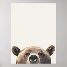 Animal Bear