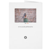 Animal Bird American Robin Cards (Back)