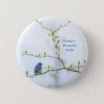 Animal Bird Eastern Bluebird Button at Zazzle