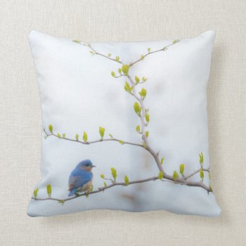 Animal Bird Eastern Bluebird Throw Pillow by 16creative at Zazzle