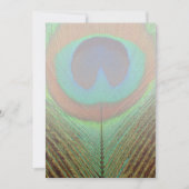 Animal - Bird - Peacock Feather (Front)