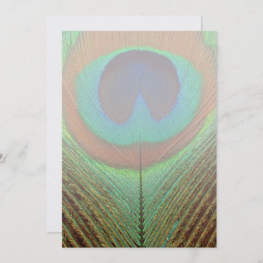 Animal - Bird - Peacock Feather (Front/Back)