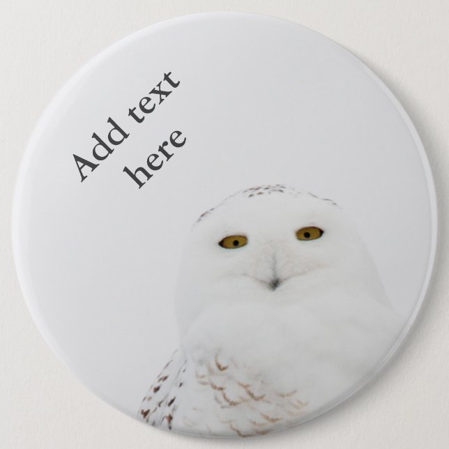 Animal Bird Snowy Owl Looking at Me Button (Front)
