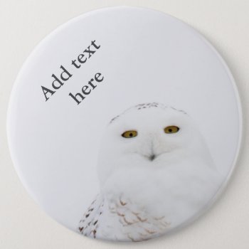 Animal Bird Snowy Owl Looking At Me Button by 16creative at Zazzle