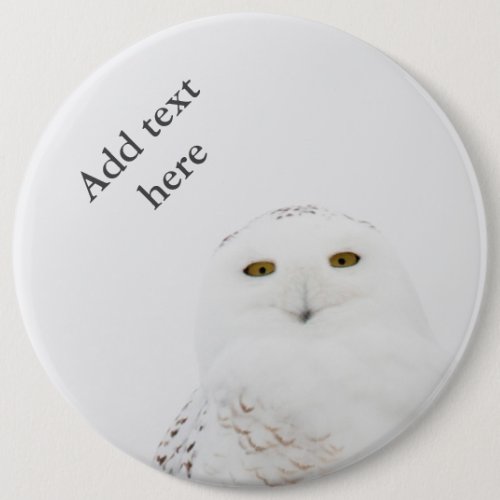 Animal Bird Snowy Owl Looking at Me Button