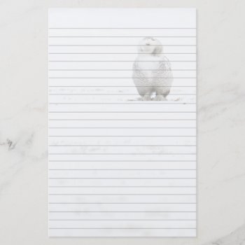 Animal Bird Snowy Owl Looking At Me Stationery by 16creative at Zazzle