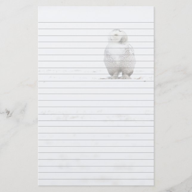 Animal Bird Snowy Owl Looking at Me Stationery (Front)