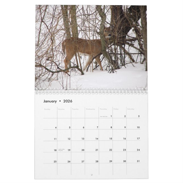 Animal Calendar (Jan 2026)