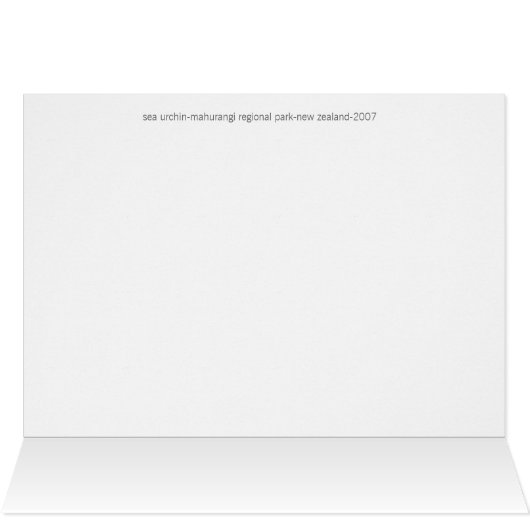 Animal cards, Sea Urchin (Inside Horizontal (Top))