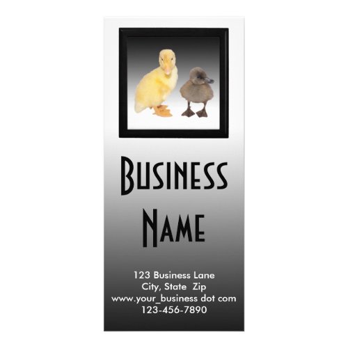 Animal Care Ducklings Photo Custom Business Rack Card