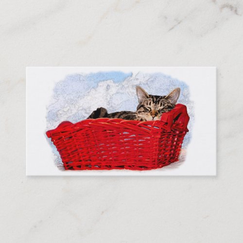 Animal Care Profession Asleep Kitten Red Basket Business Card