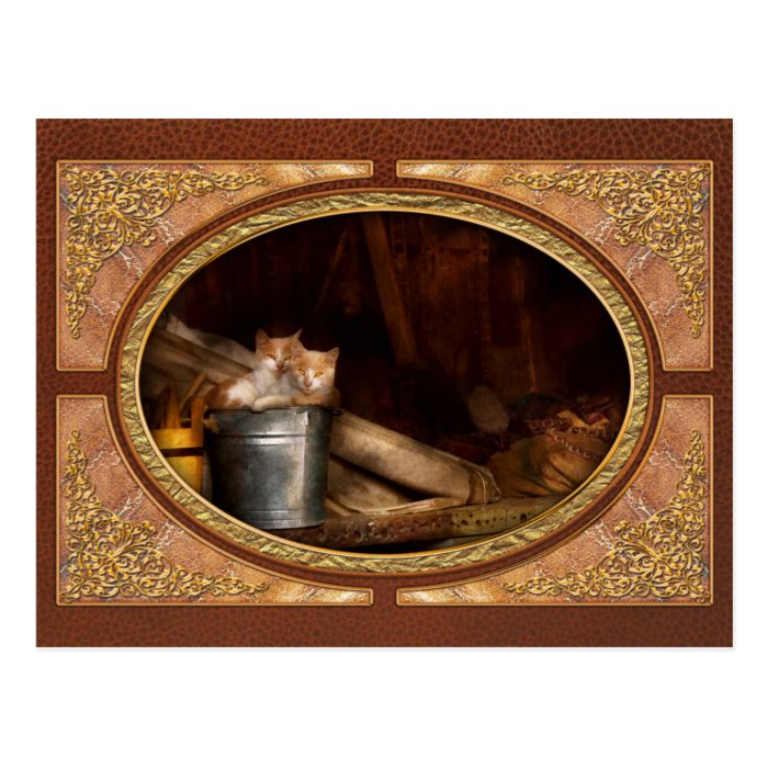 Animal   Cat   Bucket of fun Postcard