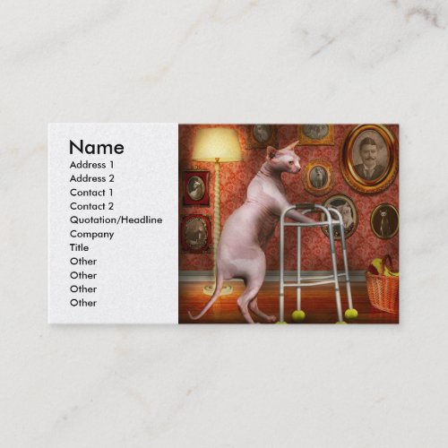 Animal _ Cat _ Retirement home for cats Business Card
