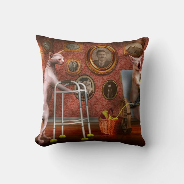 Animal - Cat - Retirement home for cats Throw Pillow (Front)