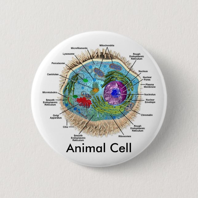 Animal Cell Button (Front)