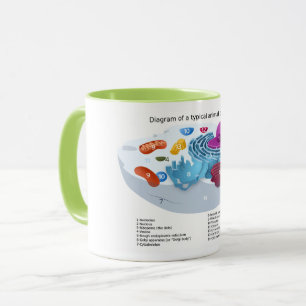 Animal Cell Diagram labeled Mug