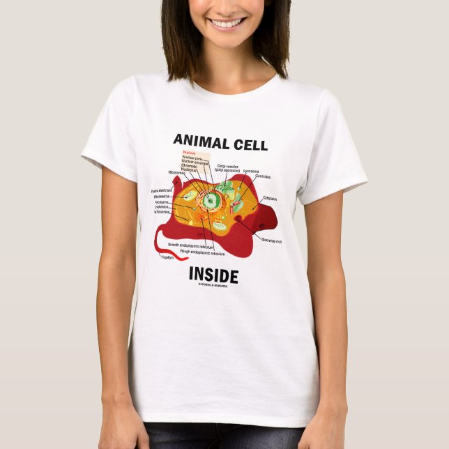 Animal Cell Inside (Eukaryote Cell Biology) T-Shirt (Front)