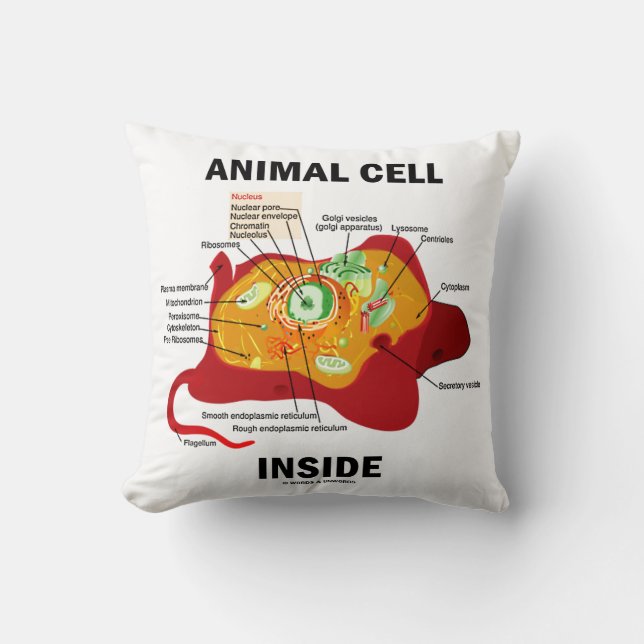 Animal Cell Inside Eukaryote Diagram Throw Pillow (Front)
