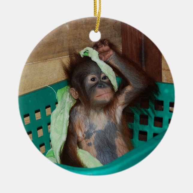 Animal Charity Donations Ceramic Ornament (Front)
