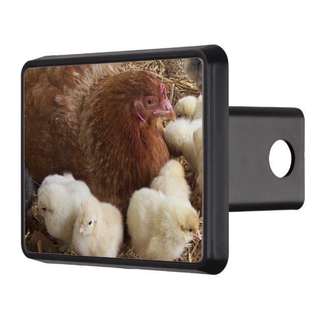 animal, chick, chicken, farm, cute, bird, baby, hitch cover (Left)