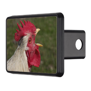 animal, chick, chicken, farm, cute, bird, baby, hitch cover