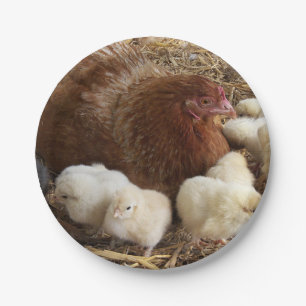 animal, chick, chicken, farm, cute, bird, baby, paper plates