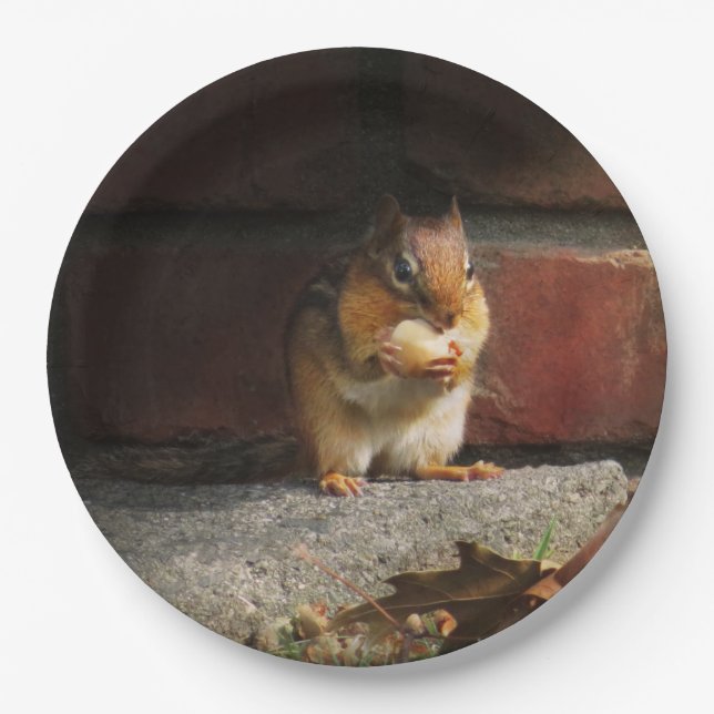 Animal - Chipmunk - It's all mine Paper Plates (Front)
