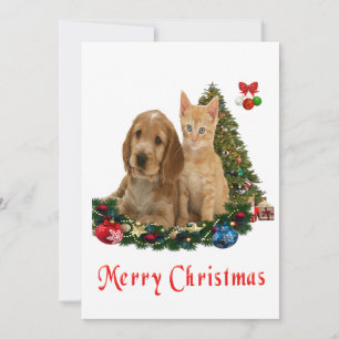 Animal Christmas cards