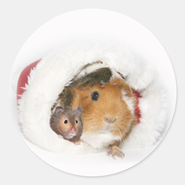 Animal Christmas sticker (Front)