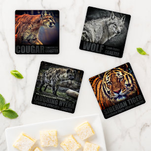 Animal Coaster Set (4-Piece) [Acrylic Coaster]