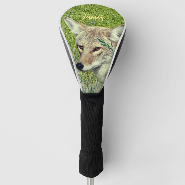 Animal Coyote  Golf Head Cover (Front)